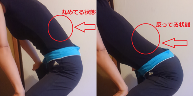 応用編の動き：反る・丸める